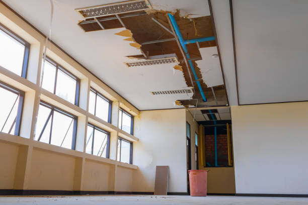 Best Sewage cleanup and water damage restoration  in Pella, IA
