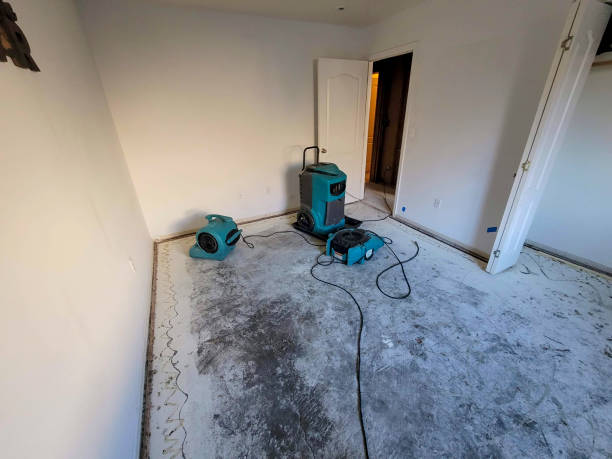Best Carpet water damage restoration  in Pella, IA