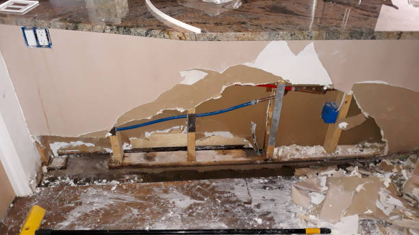 Best Flood damage cleanup  in Pella, IA