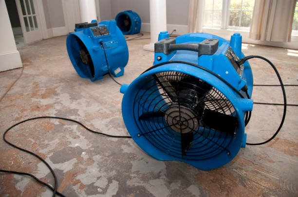 Best Water damage restoration experts  in Pella, IA