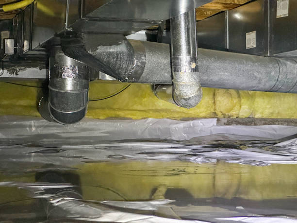 Reliable IA Water damage restoration Solutions
