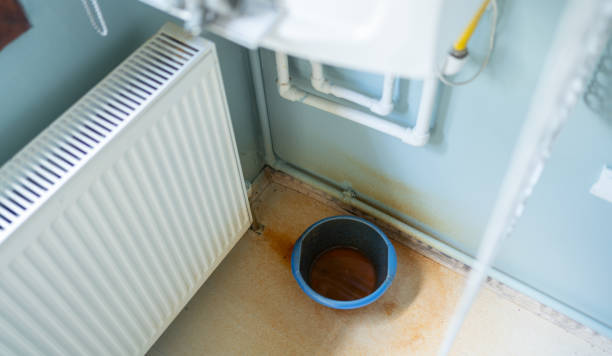 Best Mold removal after water damage  in Pella, IA
