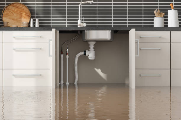 Best Ceiling water damage repair  in Pella, IA